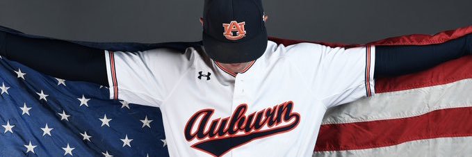LanierTiger's profile banner image