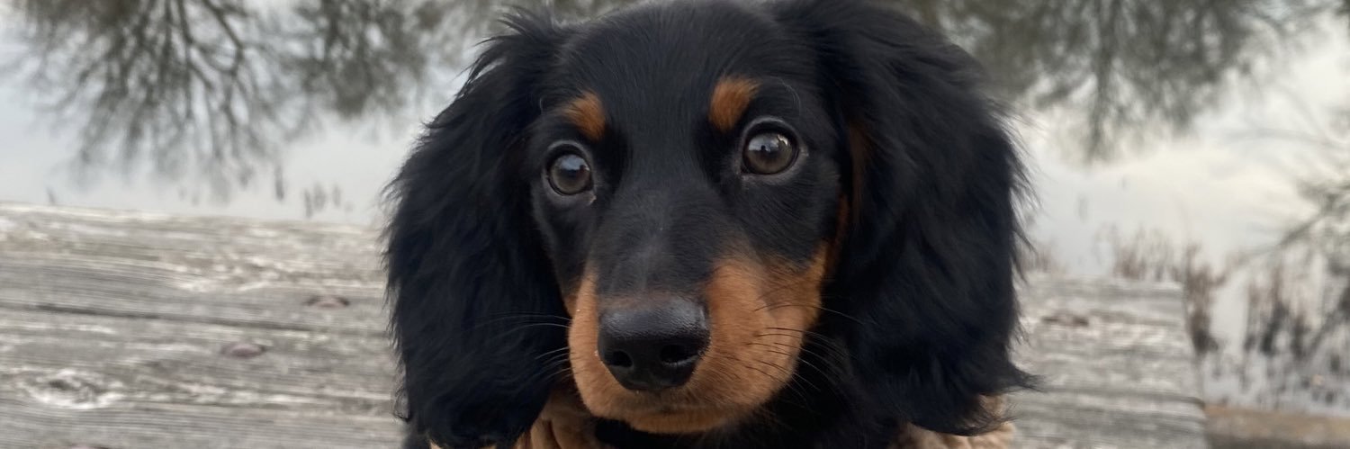 rileyyoettingg's profile banner image