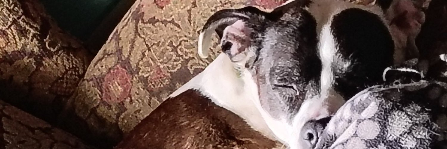 Shan Jeniah Burton (she/her) banner