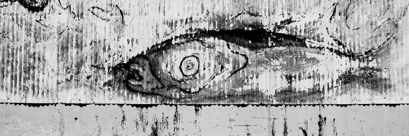 Bernard Rodrigue banner