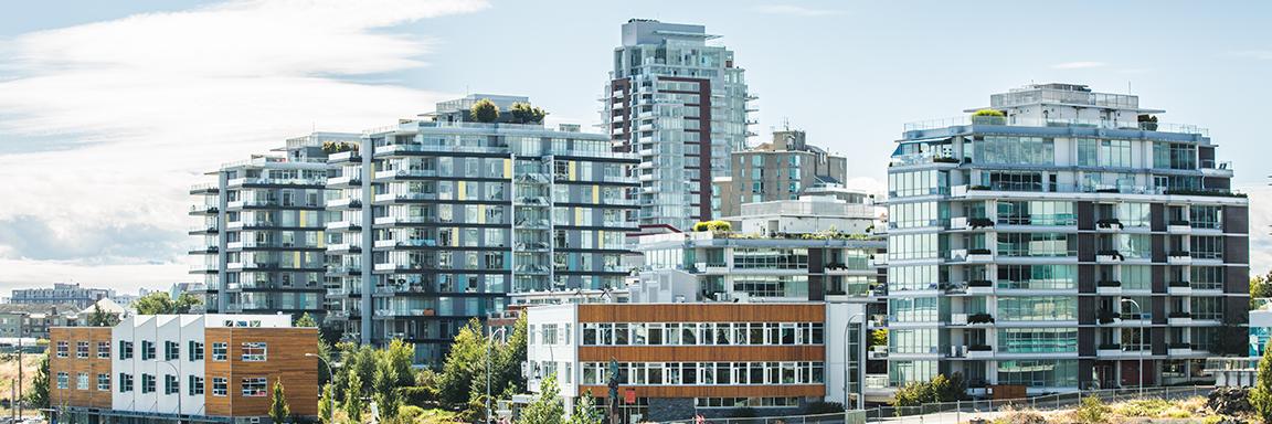ProlineMgmt's profile banner image