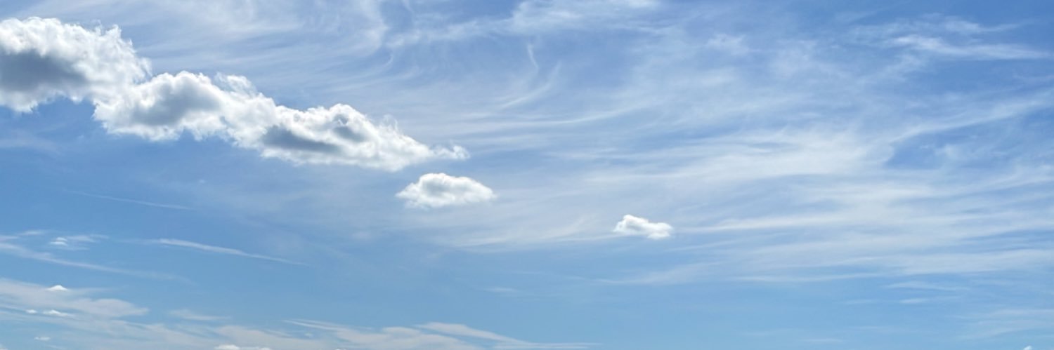 tinyoldie's profile banner image