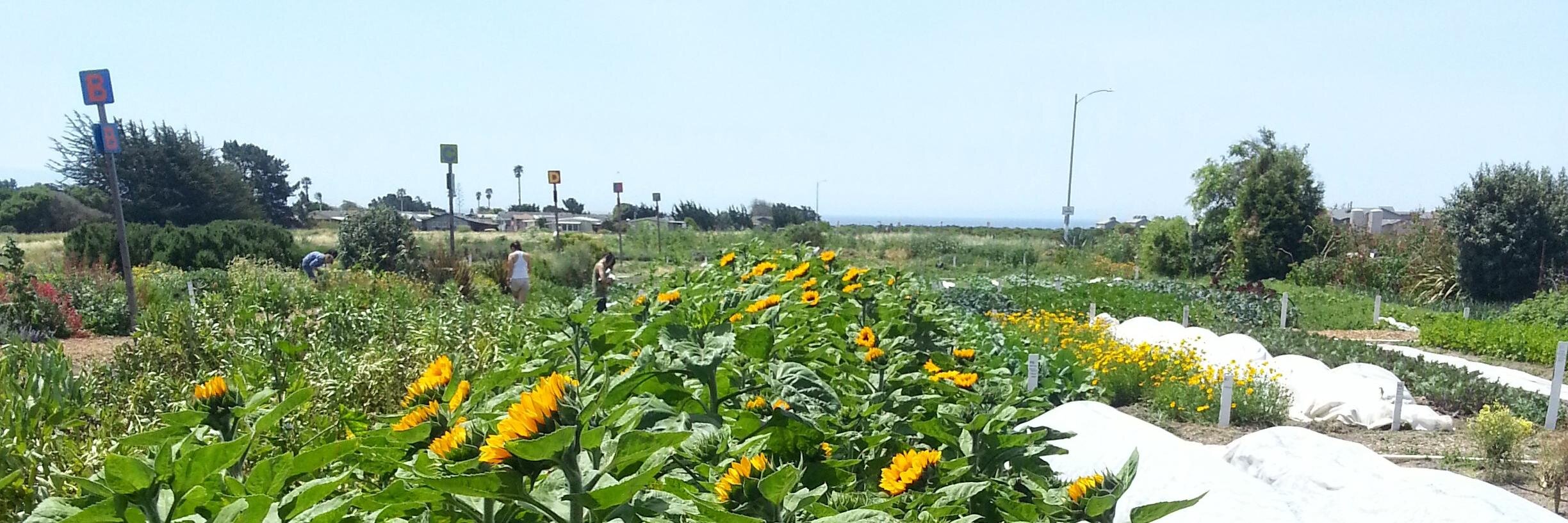 Homeless Garden Project banner