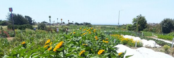 HomelessGrdnPrj Profile Banner