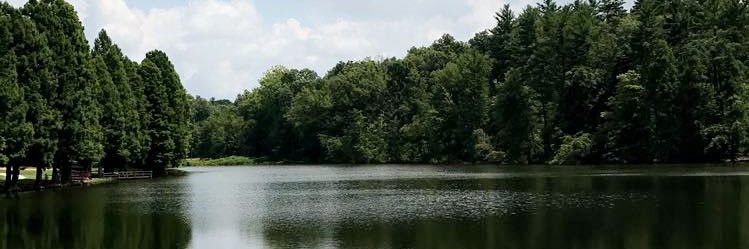 SpenserMinto's profile banner image