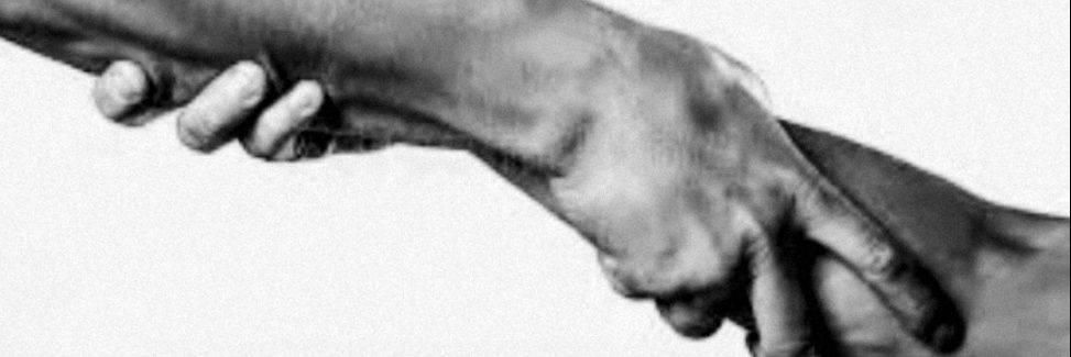 Audrey Pronesti banner