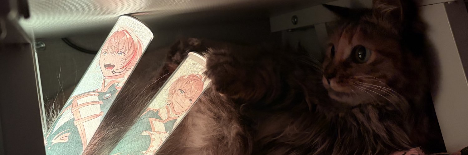 iamayacha's profile banner image