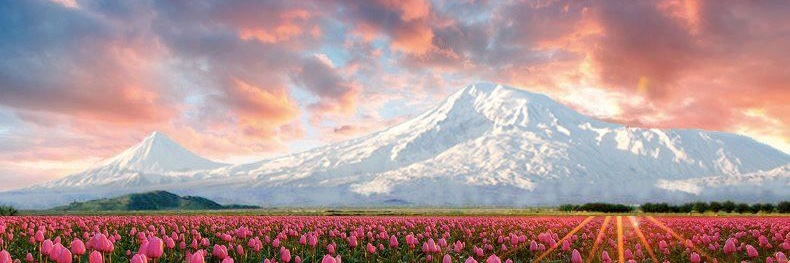 13Khachatryan's profile banner image