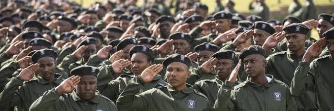 The Mapungubwean banner