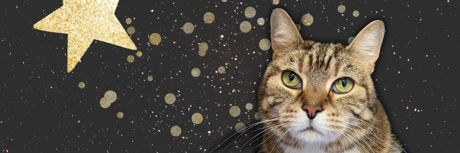 Together For Animals 🐱🐶🐴 banner