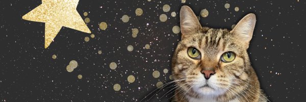 TogetherAnimals Profile Banner