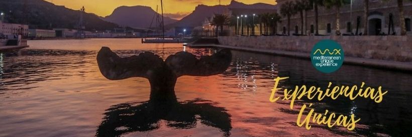 MUExperience's profile banner image