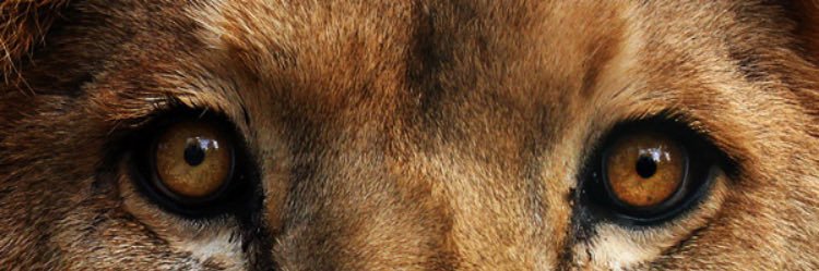 __Broddy's profile banner image