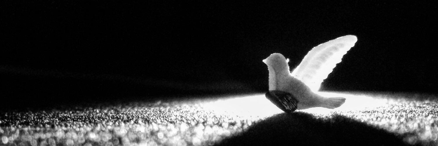 Tall_Luke21's profile banner image