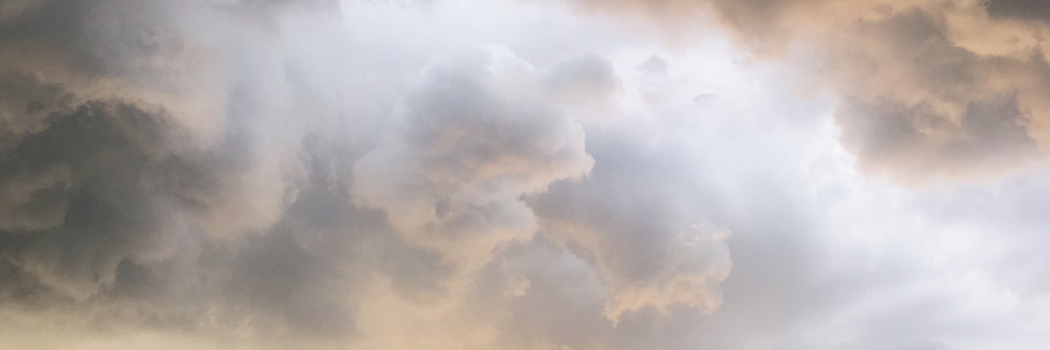 florcapalma's profile banner image