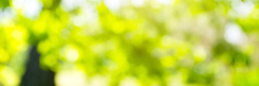 steffisa00's profile banner image