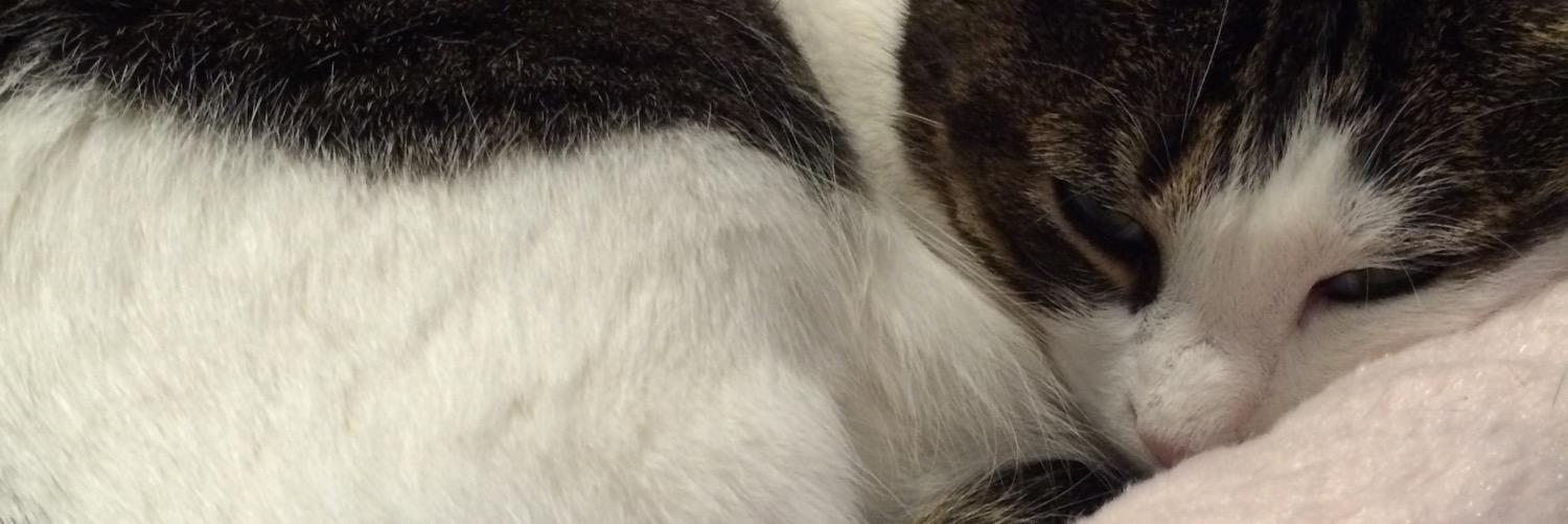 dwrinklee's profile banner image