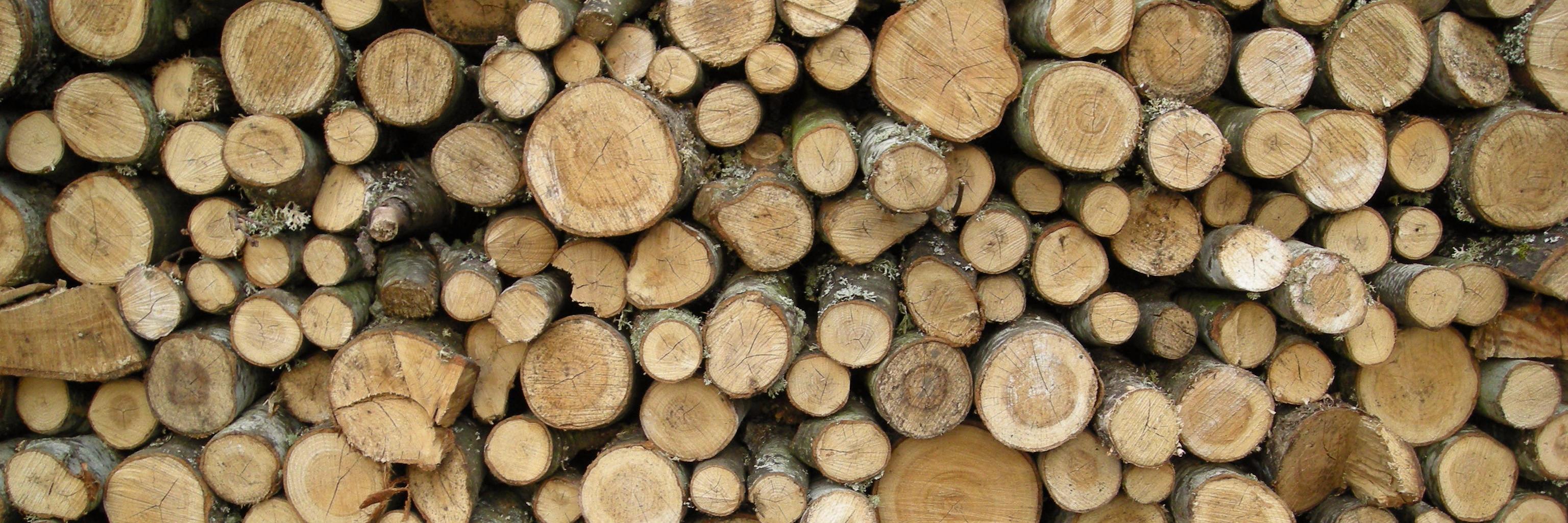NorthernKombuch's profile banner image