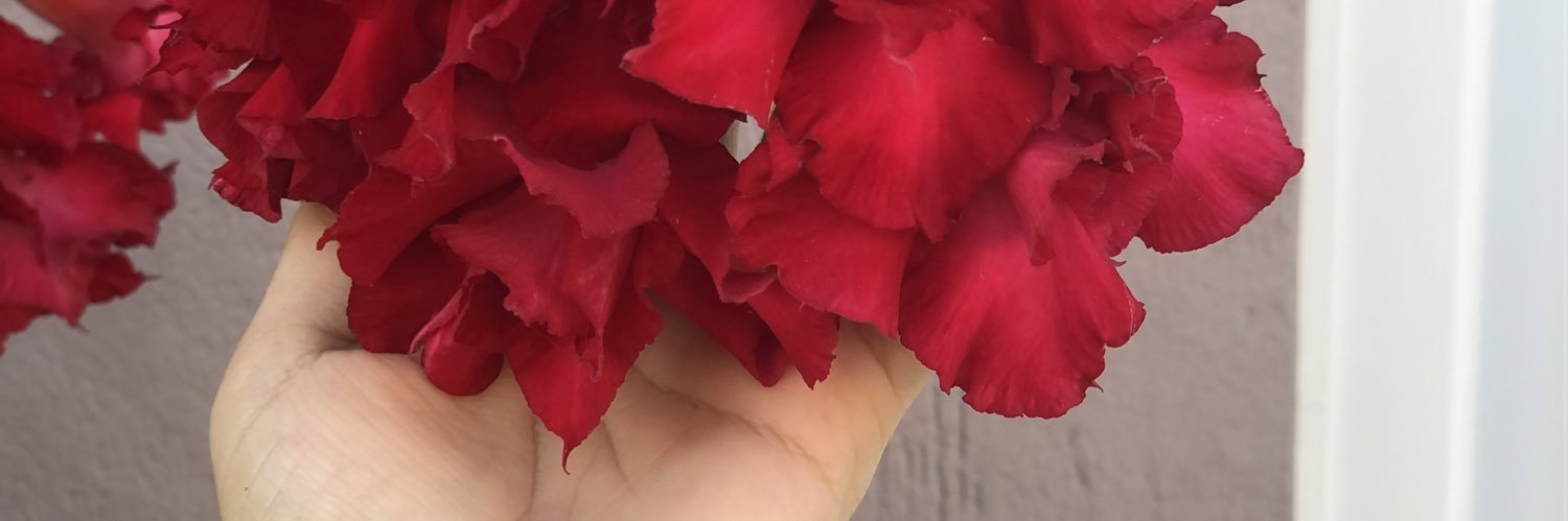 Mickey 🤷🏻‍♀️🌵🥖 🥂🦁🧙🏼‍♀️ banner