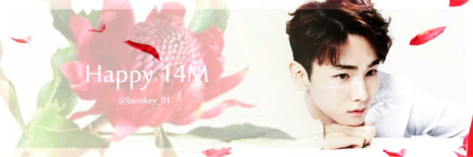 bumkey91_b's profile banner image