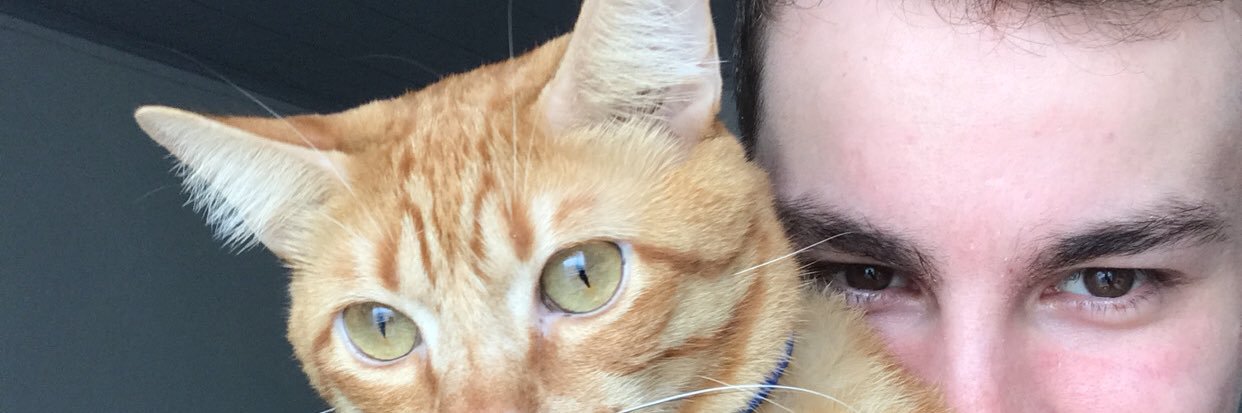 fercstrapasson's profile banner image