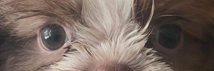 _gianabnfc's profile banner image