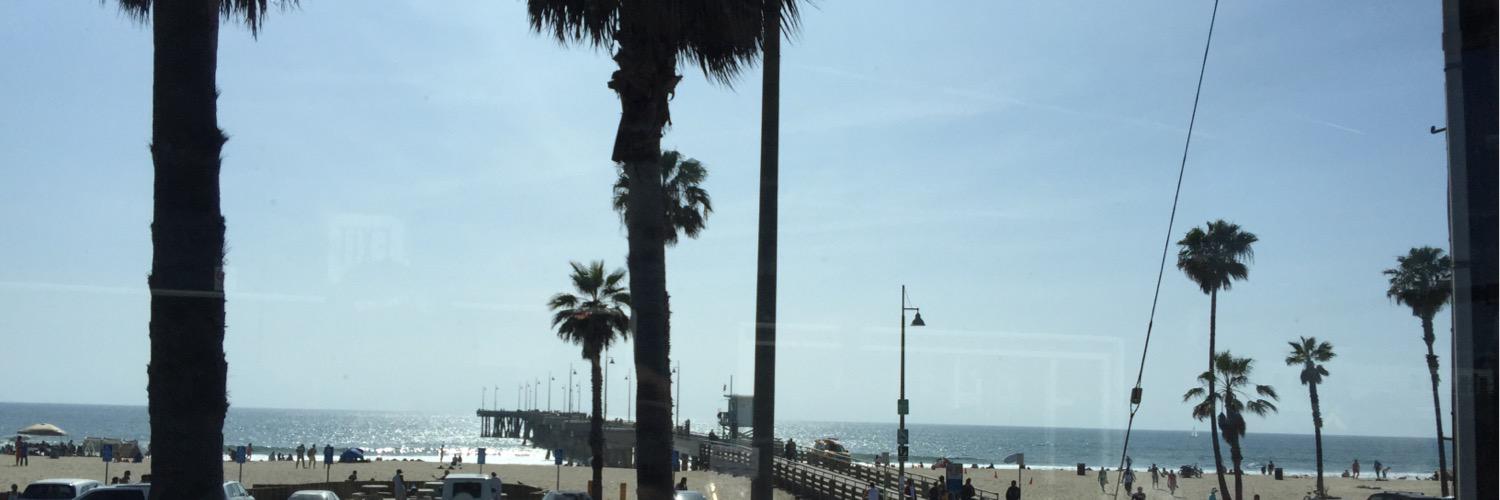 Venice Surfer banner