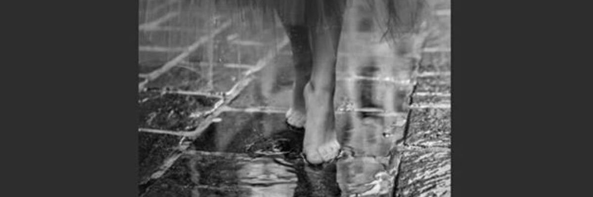 Diane Brouillette 🦋💙🦋's banner