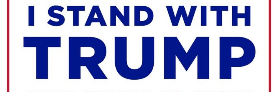 MEGA MAGA Reaver banner