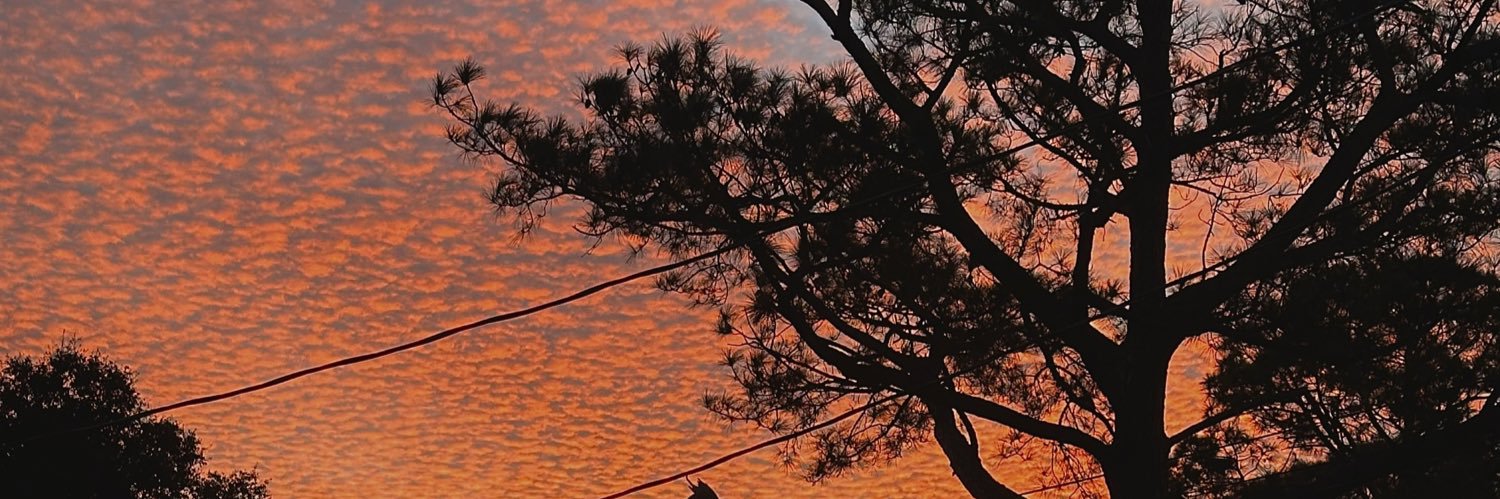 emonii_'s profile banner image