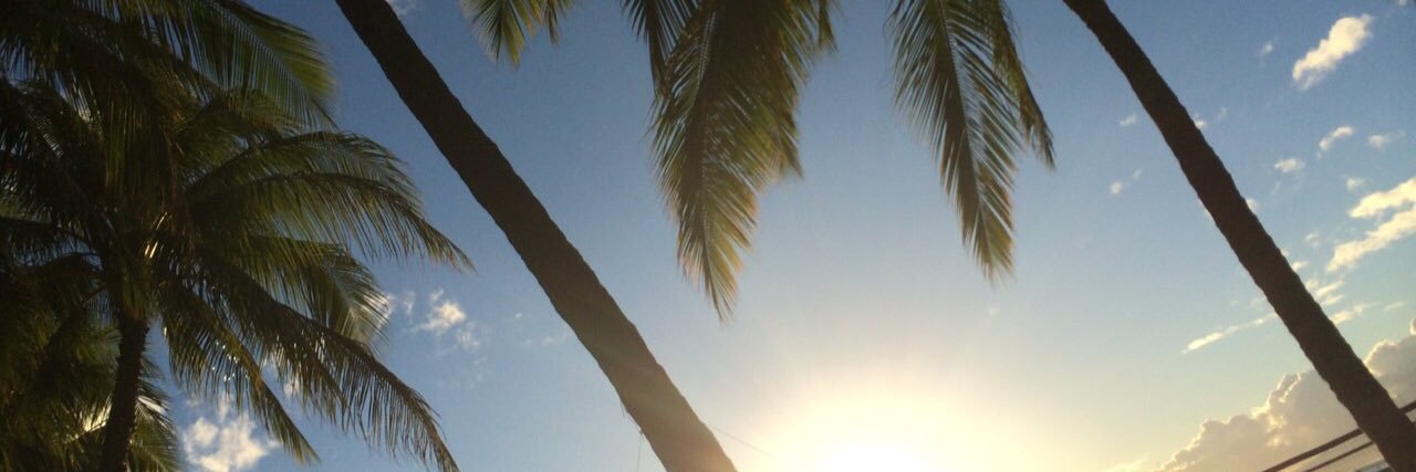 32113cx's profile banner image