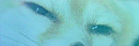 eelsupinsideye's profile banner image