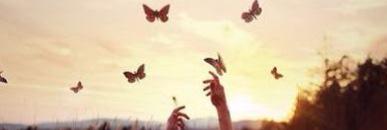 nankin70's profile banner image