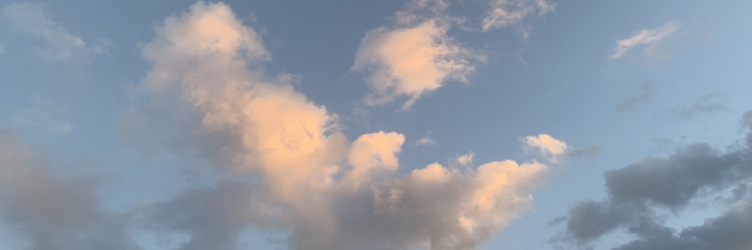 SpoopyPea's profile banner image