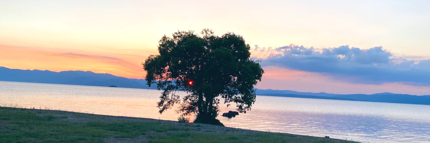 SuKesan__'s profile banner image