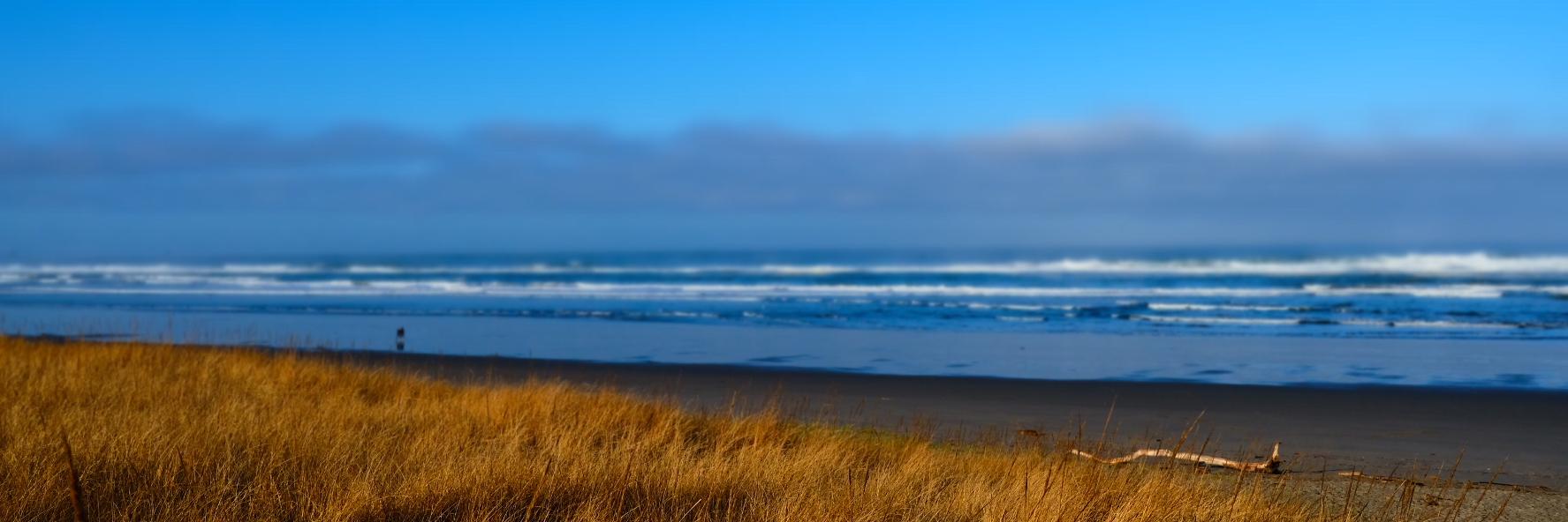 sallyjclark's profile banner image