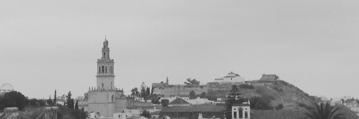 daniceruiz's profile banner image