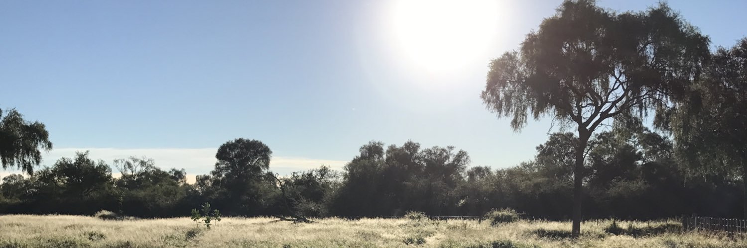 JulioFronta's profile banner image