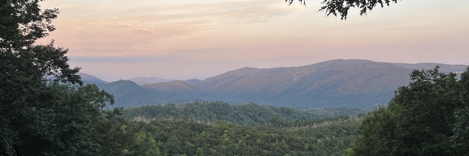 Cole banner