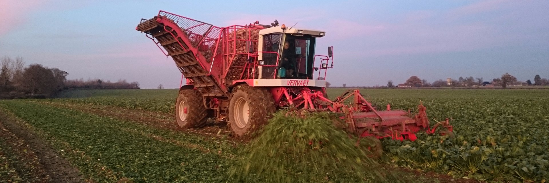 Aaron Hogsbjerg banner