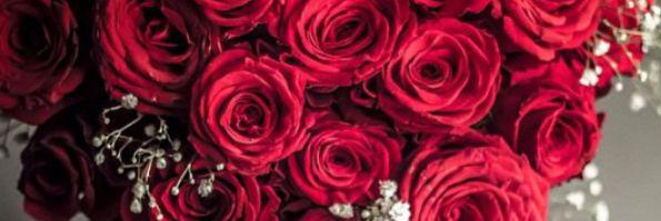 nadaabdullahth's profile banner image