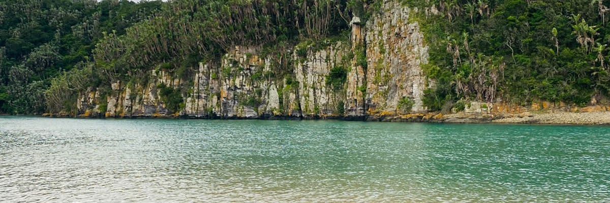 SINDIE420's profile banner image