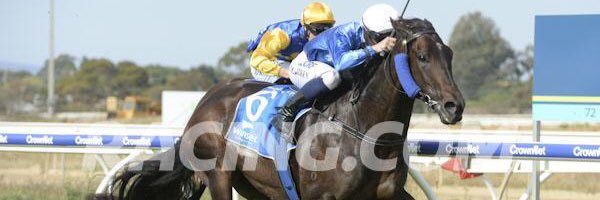 Mitch Aitken banner