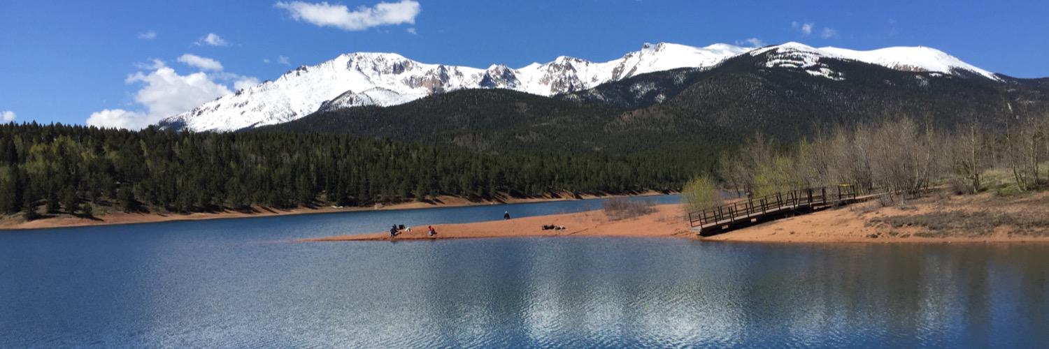 chelskisook's profile banner image