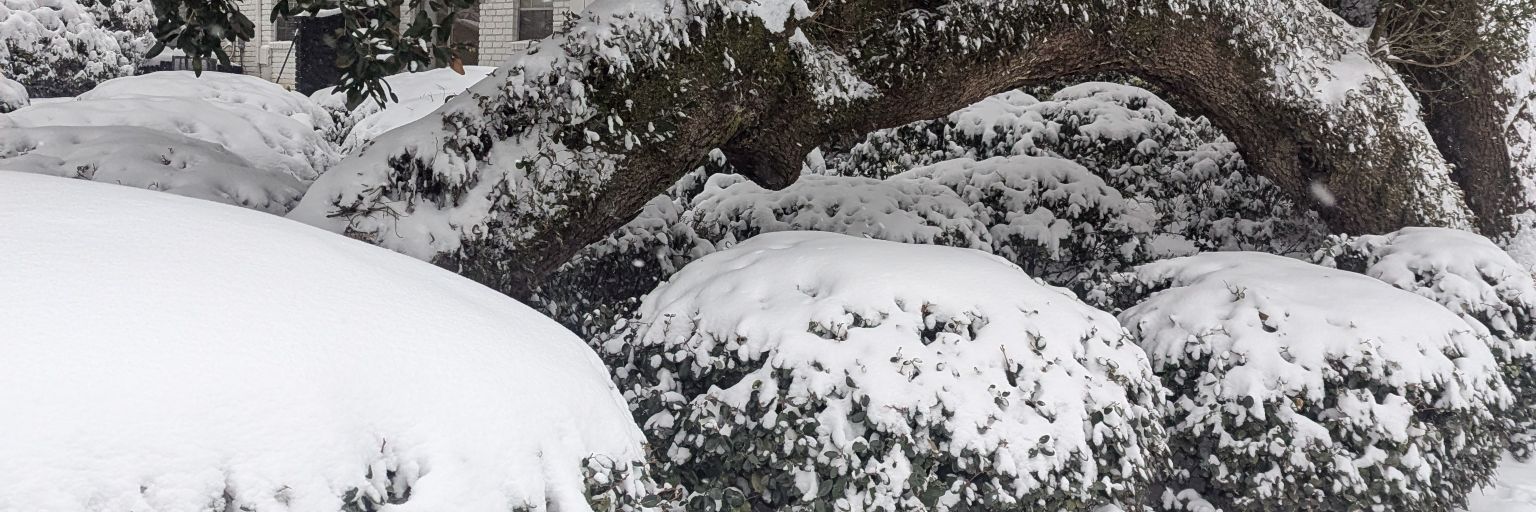 Leesheon❤ banner