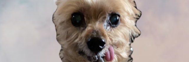 Tayl0r_Hall's profile banner image