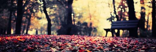 Maria92barakat's profile banner image