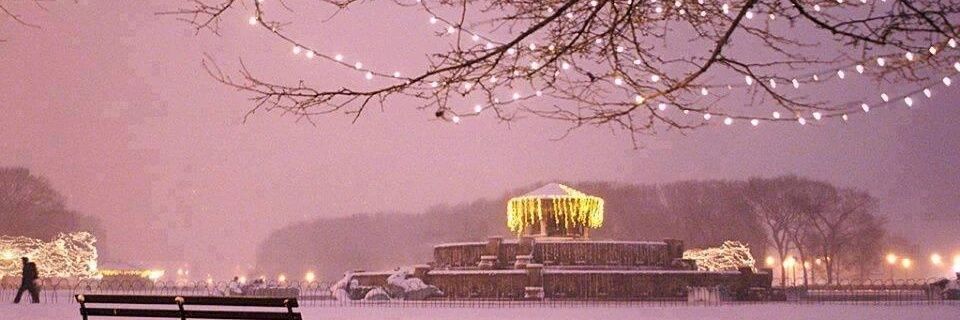 Reem  Hussein banner