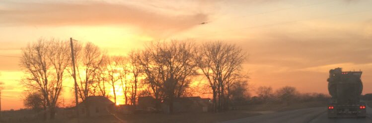 allybug88's profile banner image