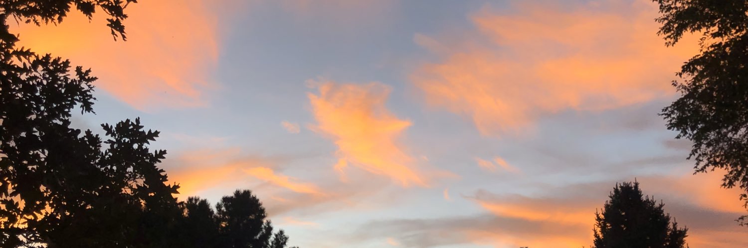 brisummerhays's profile banner image